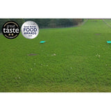 Packington Free Range White Eggs 12 per pack, imported from the UK