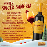 Campo Viejo red wine Rioja Tempranillo 75cl - British product