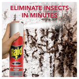 Raid insect killer spray 300ml, imported from the UK