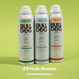 Bulldog Original Deodorant Spray - British product