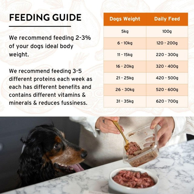 Benyfit Natural Tasty Turkey Raw Dog Food 1kg - British product