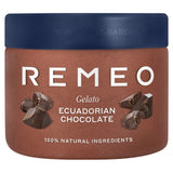 Ecuadorianisches Schokoladeneis 462 ml