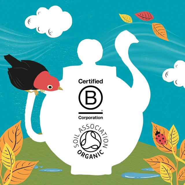 Clipper lemon and ginger herbal tea infusion 20 count - British product
