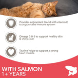 IAMS Salmon Cat Food 800g, UK version