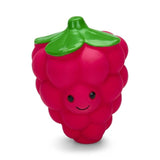 M&S Petface Foodie Faces Raspberry Latex Dog Toy- Buy online at McGrocer