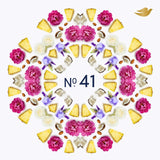 Dove No41 Peony & Pineapple refillable antiperspirant stick - British product