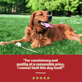 Harringtons wet dog food variety pack 16 x 400g, UK version