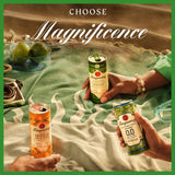 Tanqueray London Dry Gin & Tonic ready to drink can 250ml (British brand)