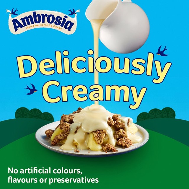 Ambrosia Devon custard 1kg - British product