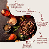 Forthglade dog food chicken with sweet potato 2kg - British product