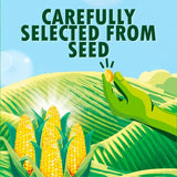 Green Giant salt free sweetcorn can - British product