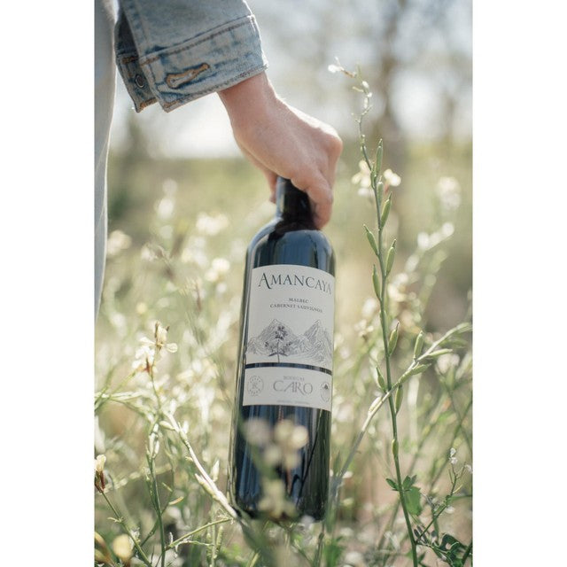 Bodegas Caro Amancaya Red Wine Malbec Blend 75cl, UK version