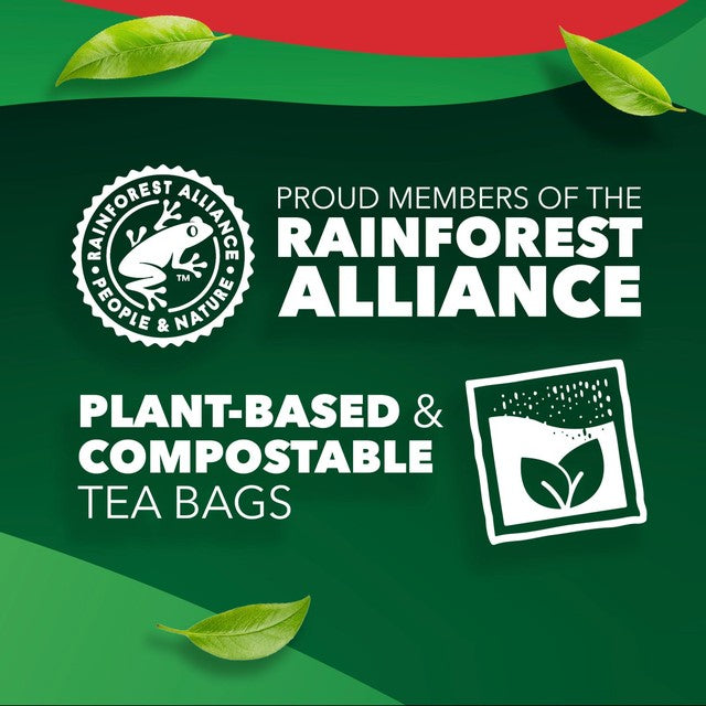 PG Tips black tea biodegradable tea bags 400 pack, imported from the UK