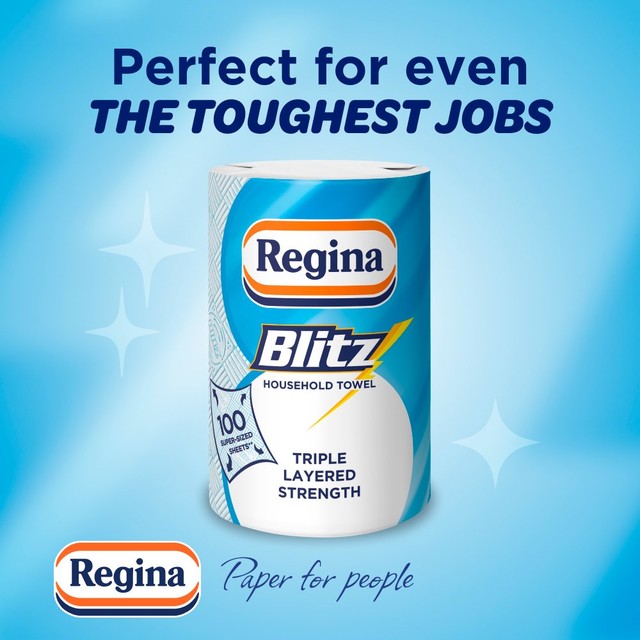 Regina Blitz kitchen roll with 100 supersized sheets, imported from the UK