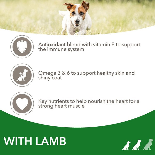Iams dog food with lamb 2kg, UK version