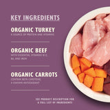 Lily's Kitchen Organic Turkey Dinner Cat Food Tray 85g, UK version