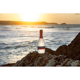 Tarquin's The Seadog Navy Gin 70cl (British brand)