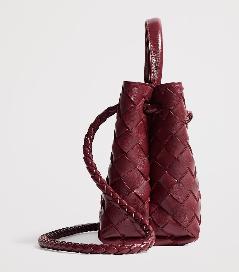 Bottega Veneta Andiamo mini bag - British product