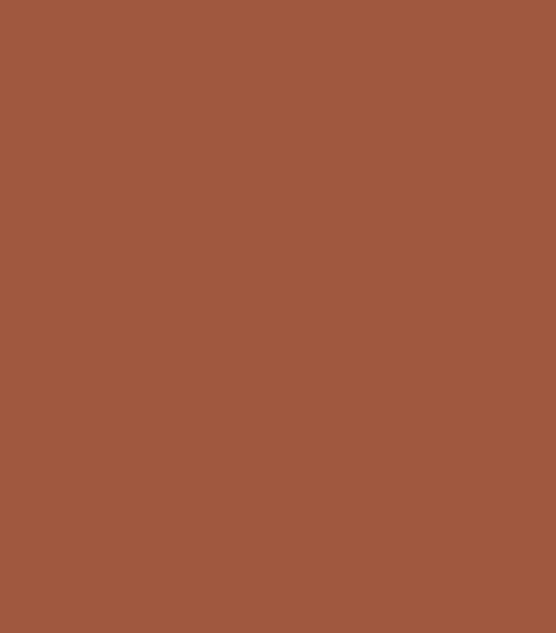 Carolina Herrera Nude Couture Matte Bronzer - British product