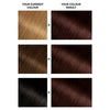 Garnier Permanent Hair Dye 3.23 Dark Quartz Brown, UK version