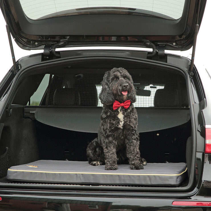 Snoozzzeee Dog Xtreme Water Resistant Pet Mat 70x100cm, UK version