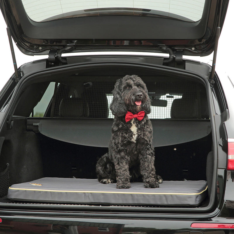 Snoozzzeee Dog Xtreme Water Resistant Pet Mat 70x100cm, UK version