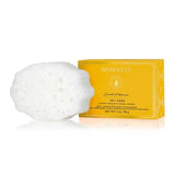 Superdrug Spongellé Daisy Collection Pedi Buffer Sweet Patchouli- Buy online at McGrocer