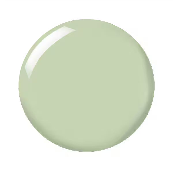 Studio London matcha nail polish imported (British brand)