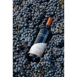 Terrazas Selection Malbec 75cl GOODS M&S