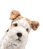 Steiff plush toy Foxy Fox Terrier 32cm, imported from the UK