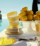 Christofle porcelain teacup and saucer Malmaison Riviera, UK version