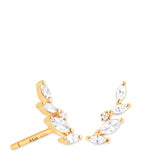 Astrid & Miyu gold-plated crystal climber earrings (British brand)