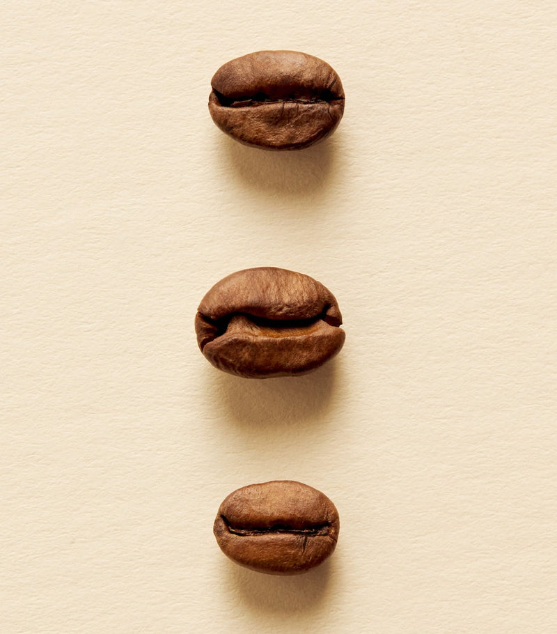 Harrods Knightsbridge Blend coffee beans 250g British brand