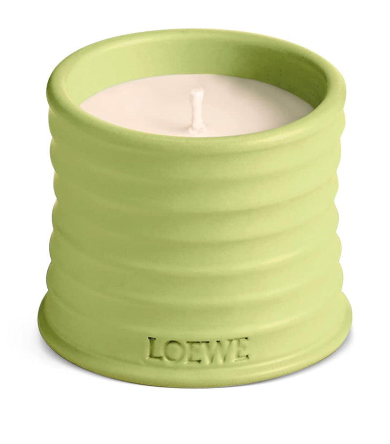 LOEWE small cucumber scented candle, UK version