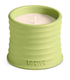 LOEWE small cucumber scented candle, UK version