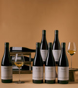 Harrods Harrods Sancerre 2023 Wine Case 12 x 75cl- Buy online at McGrocer