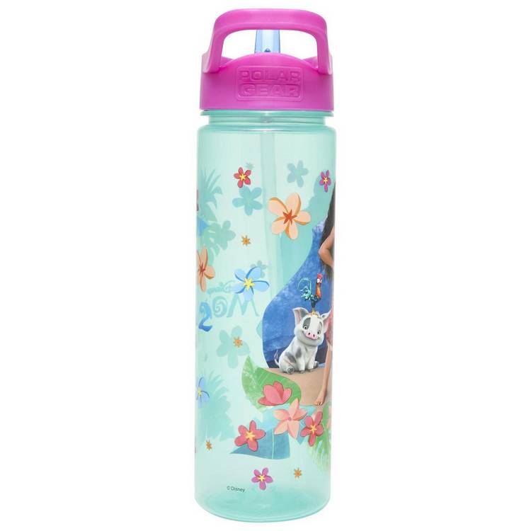 Disney Moana 2 reusable sipper water bottle 600ml (British brand)