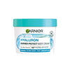 Garnier body cream normal to dry skin 380ml, UK version