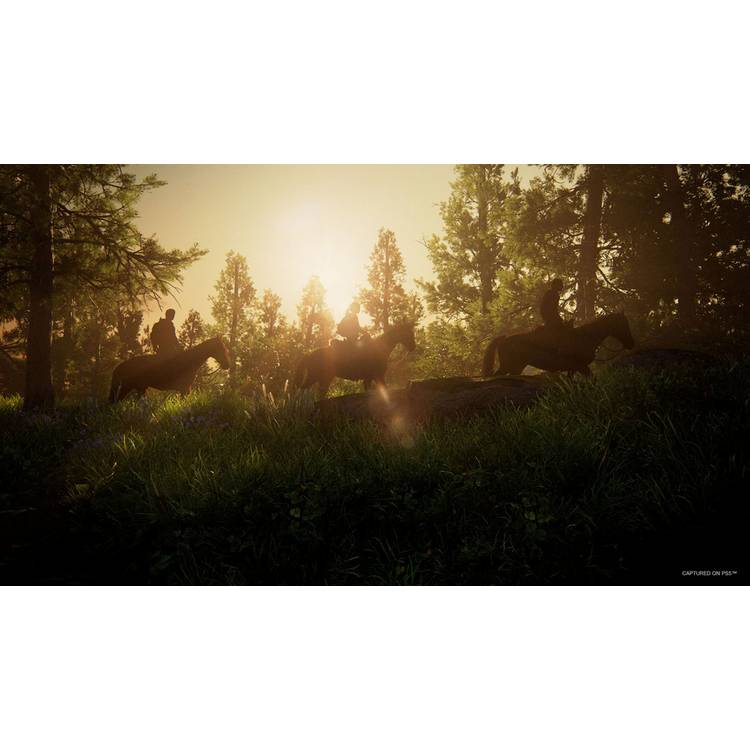 Naughty Dog The Last of Us Part I PS5 game disc - British product