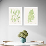 East End Prints Botan vintage art print A3, UK version