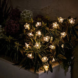 Argos Home Solar Flower String Lights Warm White LED Outdoor String Lights 3.3m- Buy online at McGrocer