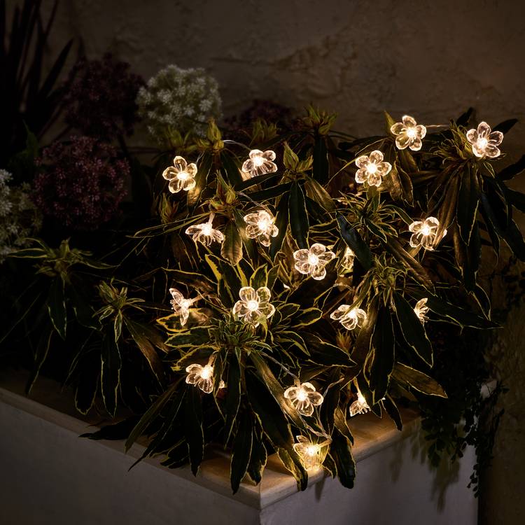 Solar flower string lights warm white 3.3m, imported from the UK