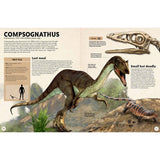 Life Size Prehistoric Assortment book and model (British brand)