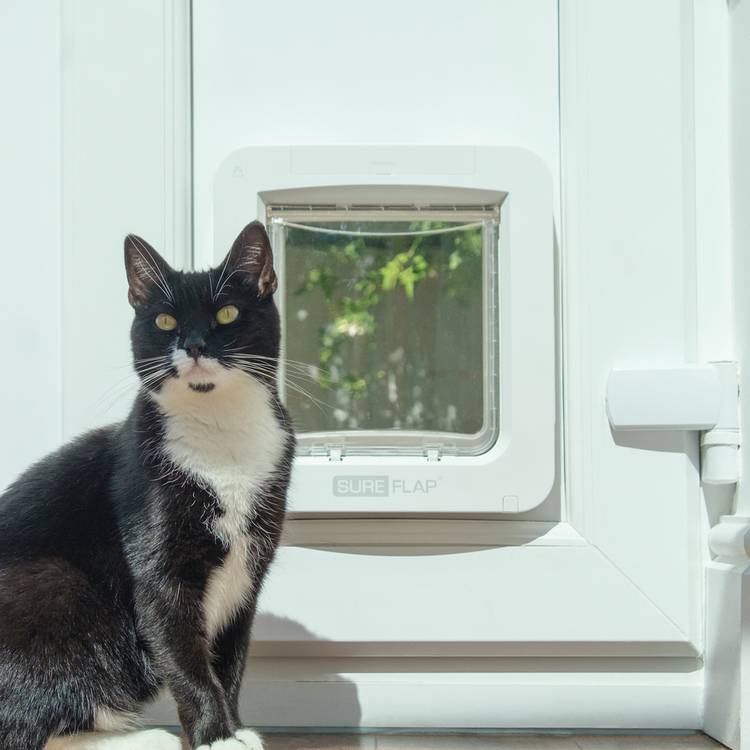 SureFlap Connect microchip pet door - British product