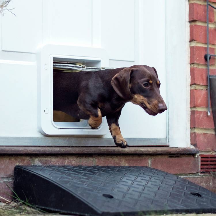 SureFlap Connect microchip pet door - British product