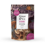 Holland & Barrett Chaga Mushroom Powder with Turmeric and Ginger 100g- Buy online at McGrocer