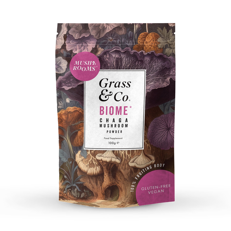 Chaga Mushroom Powder with Turmeric and Ginger 100g