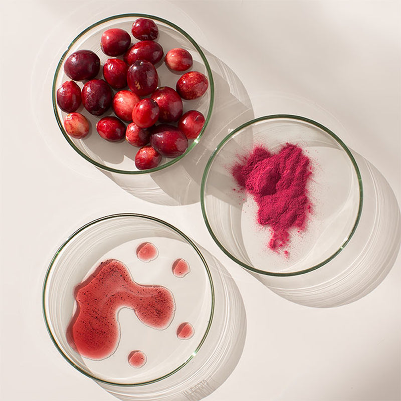 Urinary Tract Support Cranberry and Sour Cherry Gummies 60s