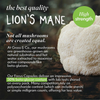 Lion's Mane Mushroom Focus Capsules with Ginseng & Omega-3 60 Vegan Capsules