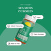Cannaray Sea Moss Wellness 60 Apple Flavour Gummies 500mg